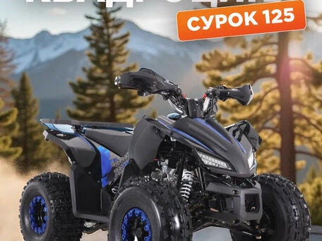 2025 Другие ATV (другие), синий, 135000 рублей, вид 2