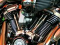 2021 Harley-Davidson CVO, коричневый - вид 1