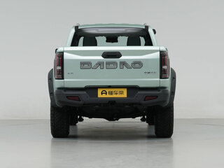 2025 Dongfeng Rich 7 Tiger Roar, зелёный, 5480000 рублей, вид 5