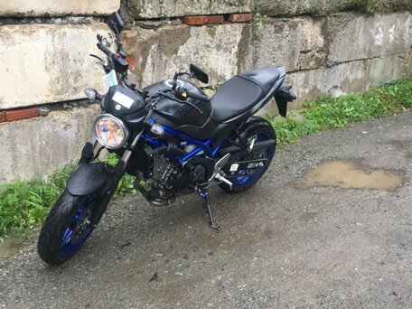 2022 Suzuki SV 650, синий, 560000 рублей, вид 5