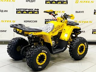 2025 Motoland Wild 125, жёлтый, 99000 рублей, вид 3
