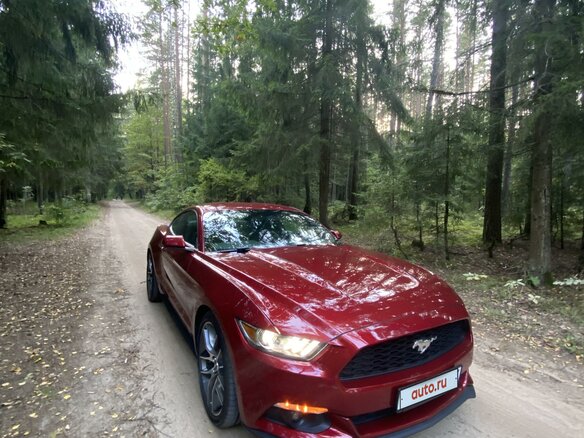 2016 Ford Mustang VI, красный - вид 15