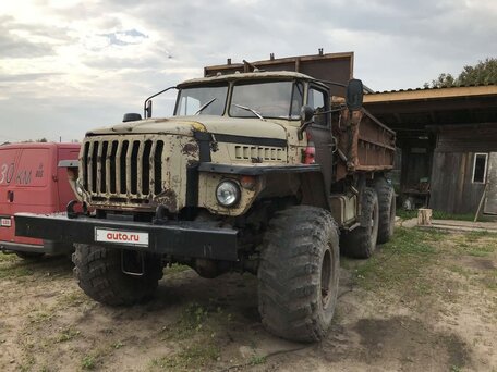 1986 Урал 5557, бежевый, 300000 рублей, вид 1