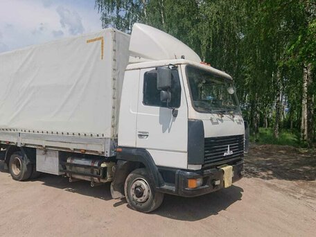 2006 МАЗ 4371, белый, 989000 рублей, вид 1