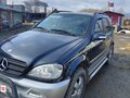 2002 Mercedes-Benz M-Класс 270 I (W163) Рестайлинг, синий, 698000 рублей