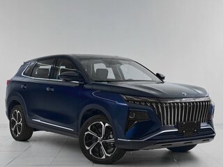 2025 Dongfeng Huge, синий, 2800000 рублей, вид 3
