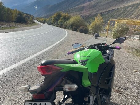 2014 Kawasaki Ninja 250R, зелёный, 300100 рублей, вид 2