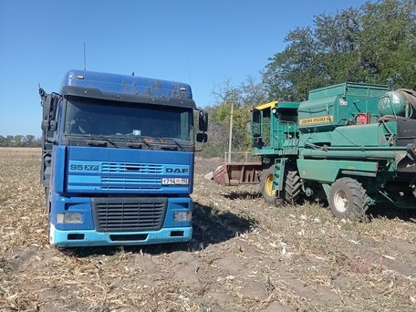 1998 DAF 95XF, синий, 1400000 рублей, вид 3