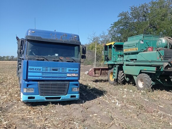 1998 DAF 95XF, синий, 1400000 рублей - вид 2