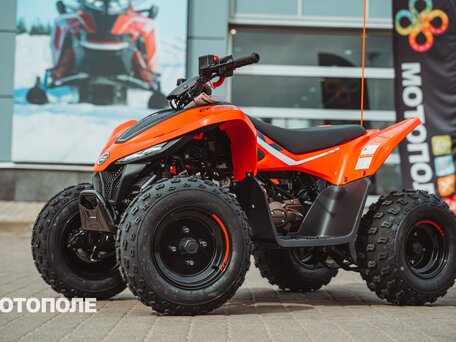 2025 CFMoto CFORCE 110, красный, 270000 рублей, вид 3
