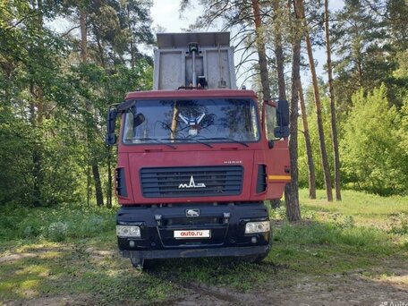 2014 МАЗ 6501, красный, 2500000 рублей, вид 4