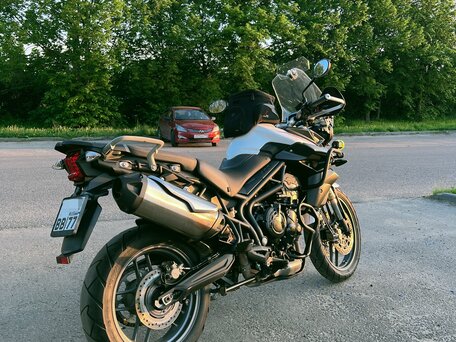 2012 Triumph Tiger 800, белый, 569000 рублей, вид 4