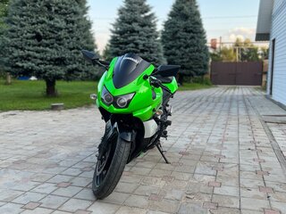 2009 Kawasaki Ninja 250R, зелёный, 350000 рублей, вид 2