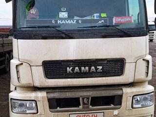 2021 КамАЗ 5490 NEO, белый, 2500000 рублей, вид 3