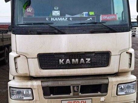 2021 КамАЗ 5490 NEO, белый, 2500000 рублей, вид 3