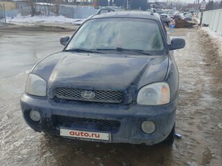 2001 Hyundai Santa Fe I, чёрный, 570000 рублей, вид 5