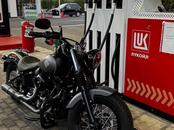 2017 Harley-Davidson Softail Slim, серый, 1800000 рублей - вид 2