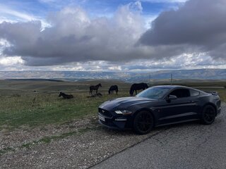 2021 Ford Mustang VI Рестайлинг, синий, 4150000 рублей, вид 3