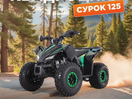 2025 Другие ATV (другие), синий, 135000 рублей, вид 4