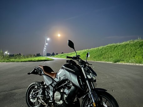 2020 Regulmoto Alien Monster, серый, 275000 рублей, вид 1