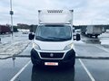 2021 Fiat Professional Ducato, белый, 4990000 рублей