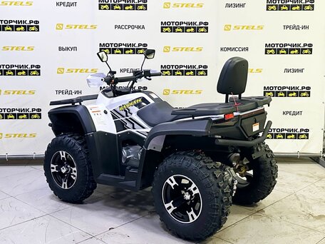 2025 Bashan Explorer 300, белый, 429000 рублей, вид 3