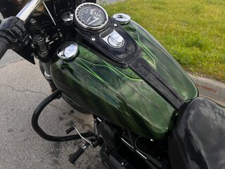 2016 Harley-Davidson Fat Bob, зелёный, 950000 рублей, вид 5