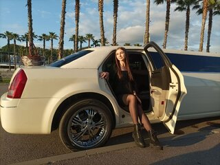 2004 Chrysler 300C I, бежевый, 1200000 рублей, вид 5