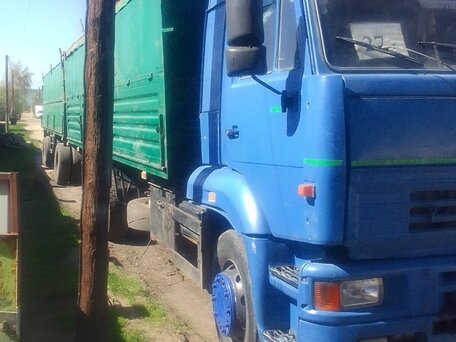 2008 КамАЗ 65117, голубой, 1500000 рублей, вид 1