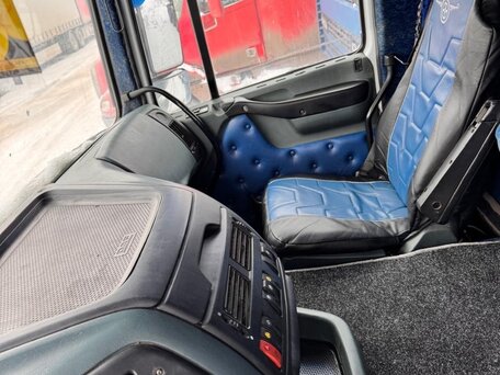 2003 DAF XF 95, белый, 1650000 рублей, вид 5