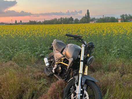 2020 Motoland Scrambler 250, серый, 115000 рублей, вид 2