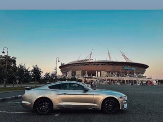 2017 Ford Mustang VI Рестайлинг, серый, 2200000 рублей, вид 5