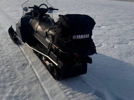 2022 Yamaha VK Professional, чёрный, 2450000 рублей, вид 5