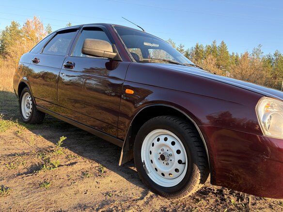 2012 Lada (ВАЗ) Priora I, пурпурный, 379000 рублей - вид 12