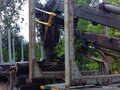 2018 МАЗ 6312, золотистый, 2686390 рублей - вид 4