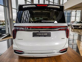 2025 Hongqi HQ9, белый, 7350000 рублей, вид 5
