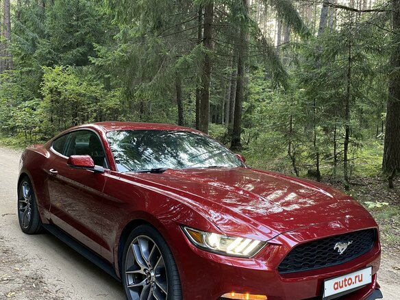 2016 Ford Mustang VI, красный - вид 1