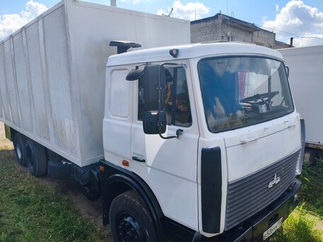 2006 МАЗ 6303, белый, 600000 рублей, вид 5