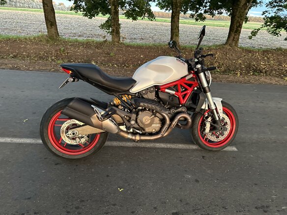 2015 Ducati Monster 821, белый, 575000 рублей - вид 11