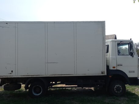 2010 МАЗ 4370, белый, 595000 рублей, вид 3