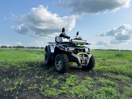 2024 Motoland Wild Track 200 X Pro, серый, 219000 рублей, вид 1