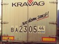 2003 Schmitz Cargobull S01, серый, 750000 рублей - вид 3