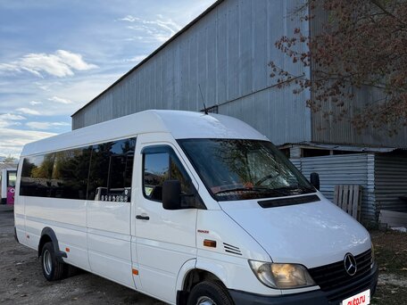 2003 Mercedes-Benz Sprinter, белый, 1800000 рублей, вид 2
