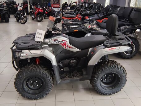 2026 Loncin XWolf 300 Max, серый, 485000 рублей, вид 4
