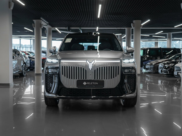 2026 Voyah Taishan X8, серый - вид 2