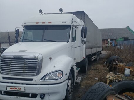 2002 Freightliner Columbia, белый, 1327000 рублей, вид 5