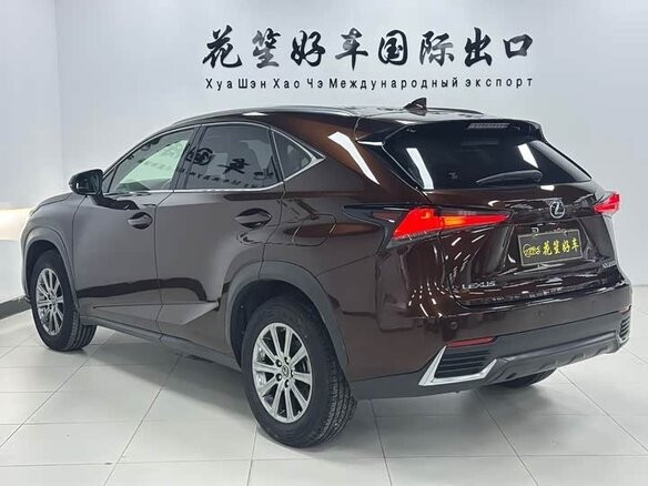2020 Lexus NX 200 I Рестайлинг, коричневый - вид 6