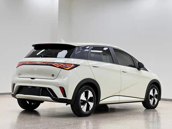 2023 BYD Dolphin 44.9 kWh I, белый, 1350000 рублей - вид 5