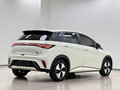 2023 BYD Dolphin 44.9 kWh I, белый, 1350000 рублей - вид 5