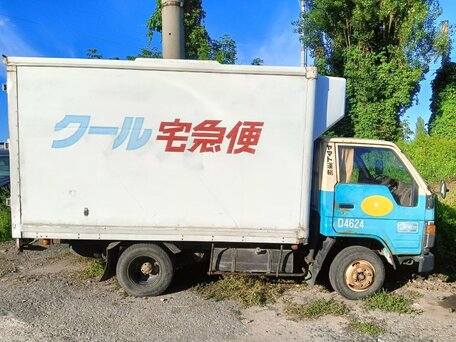 1991 Toyota Dyna, золотистый, 400000 рублей, вид 2
